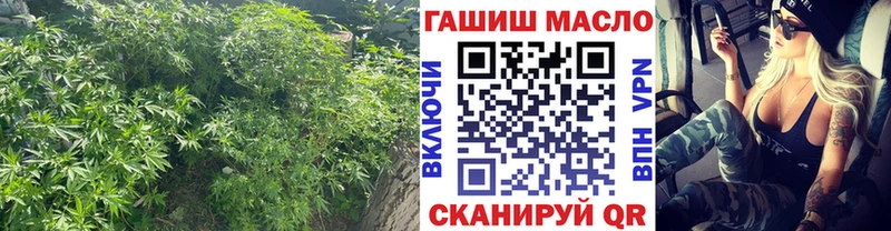 ТГК THC oil  shop какой сайт  Екатеринбург 