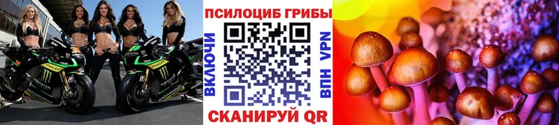 Галлюциногенные грибы мухоморы  ссылка на мегу зеркало  Екатеринбург 